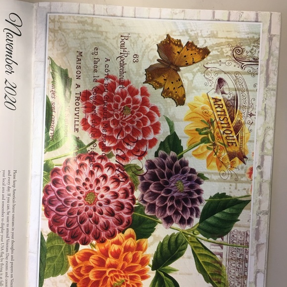 Meet your Posher, Mabel - Picture 3 of 5